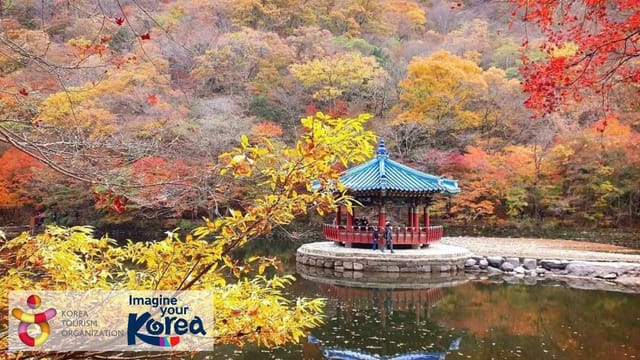 naejangsan-mountain-autumn-foliage-day-tour-from-seoul-south-korea_1